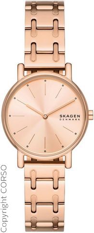 Skagen Кварцевые часы C54937638-4288