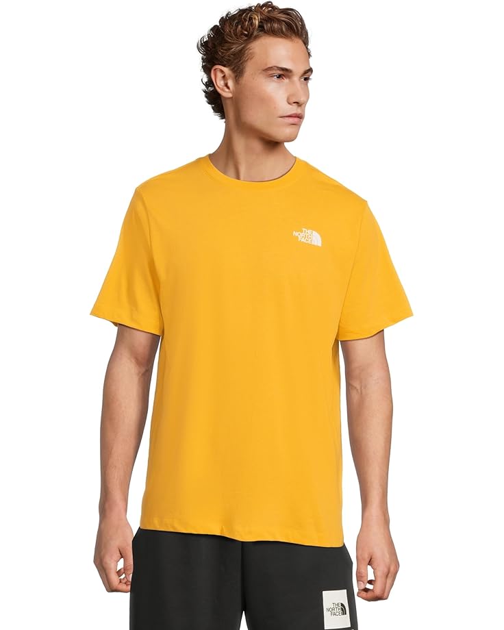 The North Face Мужская футболка Evolution Box NSE Regular с коротким рукавом