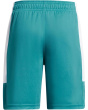Baseline Basketball Shorts (Big Kids)