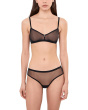 Soire Iconic Cheeky Brief