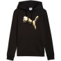 PUMA Женская толстовка с капюшоном ESS металлическая толстовка с капюшоном FL