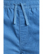 Taxer Cord Shorts (Big Kid)