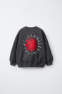 Zara ТОЛСТОВКА С ВЫШИВКОЙ RED HOT CHILI PEPPERS - 517802587-807-18