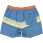 Quiksilver Мужские плавательные шорты Quik Volley