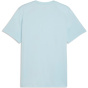 PUMA Мужская рубашка M TAD ESSENTIALS SOLID CAT TEE (LC small cat)