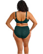 Cate Allure Underwire Banded Bra
