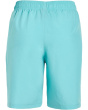 Woven Shorts (Big Kid)