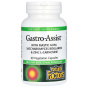 Natural Factors, Gastro-Assist™ с мастиковой смолой, сахаромицетами буларди и цинк-L-карнозином, пищевая добавка, 60 вегетарианских капсул
