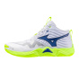 Крытая обувь Mizuno Wave Momentum Elite Mid