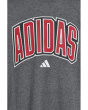 Collegiate Arch Heather Tee (Big Kid)