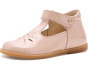 Falcotto Maluku (Toddler)