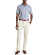 Chilmark Chino