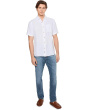 Everett Slim Straight Jeans Chaparral