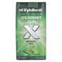 Xyloburst, ксилитоловая камедь, со вкусом мяты, 24 шт., 36 г (1,27 унции)