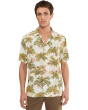 Coastal Ease Palm Voyage