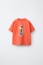 Zara Футболка С ИЗОБРАЖЕНИЕМ Вуди ИСТОРИЯ ИГРУШЕК DISNEY PIXAR РЕКОРДЕР 516444236-615-18