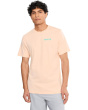 Fern Gradient Short Sleeve