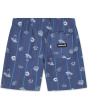 Paradise Stripe Pull-On Swim Trunk (Little Kids)