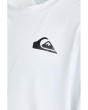 Everyday Surf Tee Long Sleeve (Toddler/Little Kid)