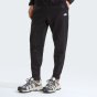 THE NORTH FACE Мужские спортивные штаны He/Uni M TNF, флисовые брюки SW PERFORMANCE