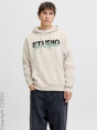 Jack & Jones Толстовка с капюшоном C59207312-4284