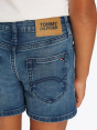 Tommy Hilfiger Шорты C85943453-4294