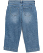 Plus Brigitte Jeans in Mist Springs