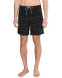 Steady Stripe Trunk