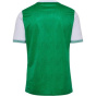 Hummel Мужская домашняя рубашка Saint Etienne 25/26