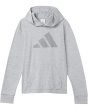 All Sport Poly Hooded Pullover (Big Kid)