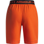 Under Armour Детские тренировочные шорты Vanish