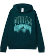 Graphic Fleece Hooded Pullover (Big Kid)