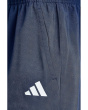 Woven Essentials Small Logo Shorts (Big Kid)