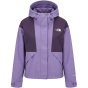 THE NORTH FACE Женская куртка REIGN ON 2