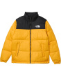 The North Face Kids Ретро-куртка Nuptse 1996 года (Маленький ребенок/Большой ребенок)