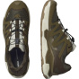 SALOMON Мужская повседневная обувь SHOES XC ROAM GTX Coyote/Wre