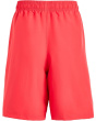Woven Shorts (Big Kid)