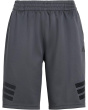 adidas Kids Шорты с иконками (для больших детей)