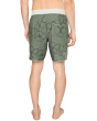 Hyperfreak Mysto Scallop 19'' Boardshorts