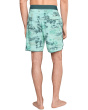 Hyperfreak Mysto Scallop 19'' Boardshorts