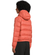 Hydrenalite_ _ Down Hoodie