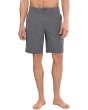Union Heather Amphibian 20 Hybrid Shorts
