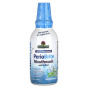 Natures Answer, PerioBrite, ополаскиватель для рта с ксилитолом, зимняя мята, 480 мл (16 жидк. унций)
