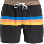 Quiksilver Мужские плавательные шорты Quik Volley