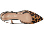 Franiely