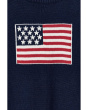 Intarsia Flag Sweater (Infant/Toddler/Little Kid/Big Kid)