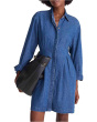 Chrisandra Denim Dress