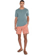 Cruzer Scallop 18'' Boardshorts