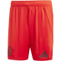 ADIDAS Мужские командные брюки ФК Бавария М_нхен 24/25 дома