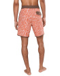 Cruzer Scallop 18'' Boardshorts